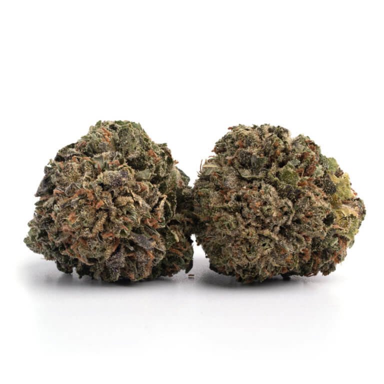 Purple Kush Indica