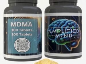 Amplified Mind