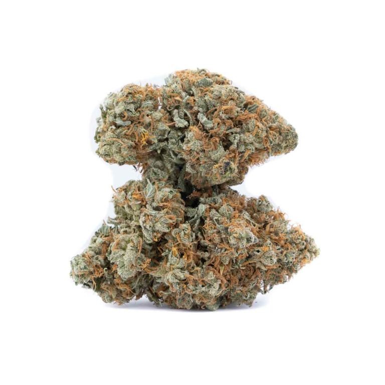 Magic Mushroom Dispensary Weed